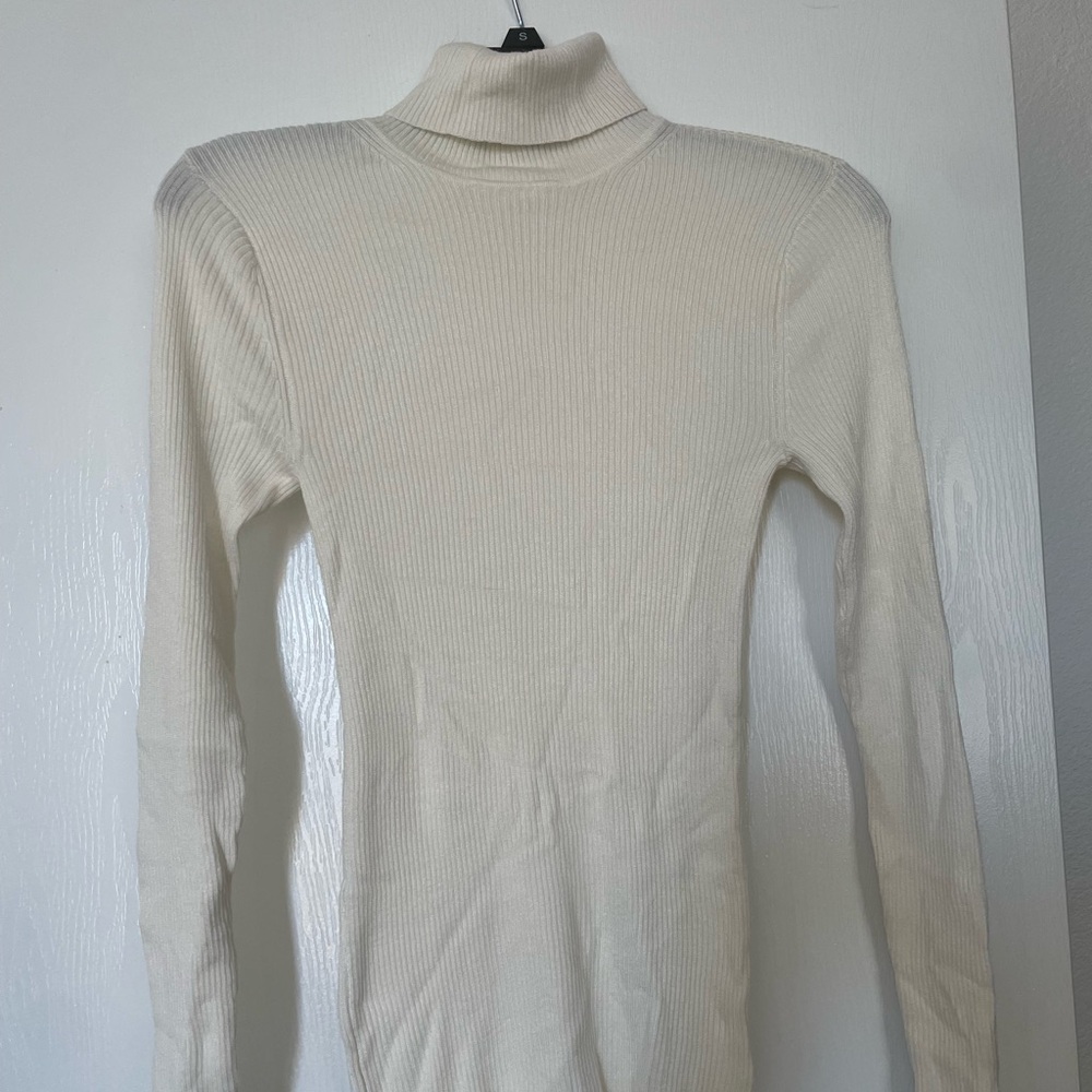 Express Ribbed Turtleneck Sweater (NWT)